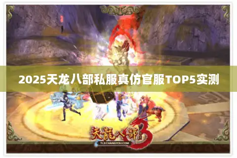 2025天龙八部私服真仿官服TOP5实测
