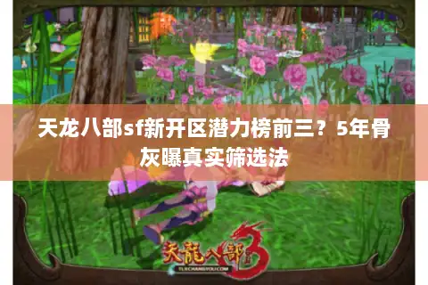 天龙八部sf新开区潜力榜前三？5年骨灰曝真实筛选法