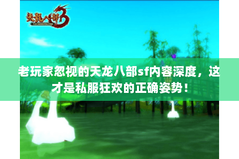 老玩家忽视的天龙八部sf内容深度，这才是私服狂欢的正确姿势！