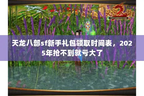 天龙八部sf新手礼包领取时间表，2025年抢不到就亏大了