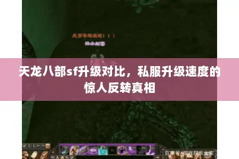 天龙八部sf升级对比，私服升级速度的惊人反转真相