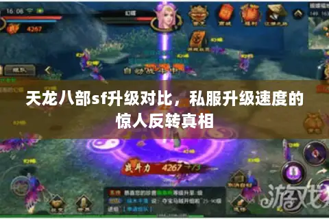 天龙八部sf升级对比，私服升级速度的惊人反转真相
