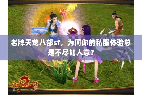 老牌天龙八部sf，为何你的私服体验总是不尽如人意？