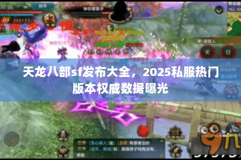 天龙八部sf发布大全，2025私服热门版本权威数据曝光