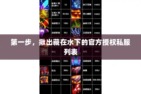 第一步,揪出藏在水下的官方授权私服列表 第一步,揪出藏在水下的官方授权私服列表