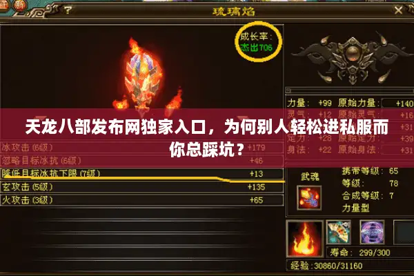 天龙八部发布网独家入口，为何别人轻松进私服而你总踩坑？