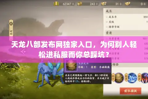 天龙八部发布网独家入口，为何别人轻松进私服而你总踩坑？