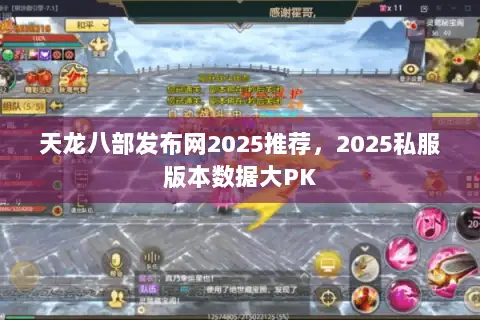 天龙八部发布网2025推荐，2025私服版本数据大PK