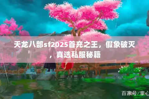 天龙八部sf2025首充之王，假象破灭，真选私服秘籍