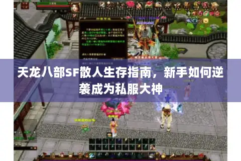 天龙八部SF散人生存指南,新手如何逆袭成为私服大神 天龙八部SF散人生存指南,新手如何逆袭成为私服大神