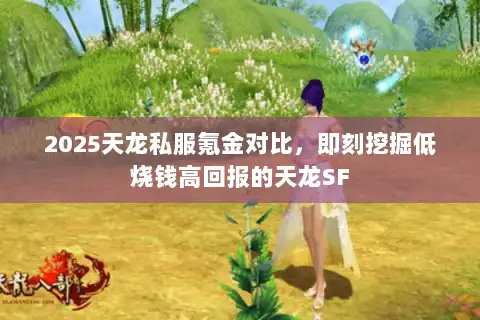2025天龙私服氪金对比,即刻挖掘低烧钱高回报的天龙SF 2025天龙私服氪金对比,即刻挖掘低烧钱高回报的天龙SF