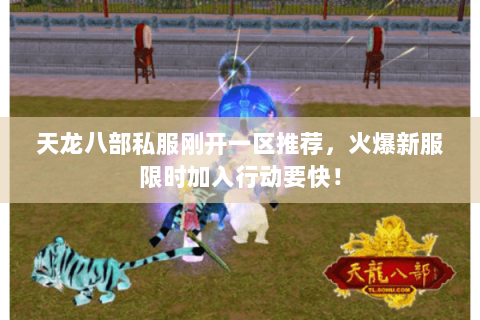 天龙八部私服刚开一区推荐，火爆新服限时加入行动要快！