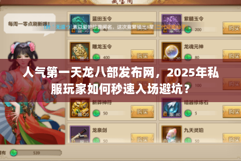 人气第一天龙八部发布网，2025年私服玩家如何秒速入场避坑？