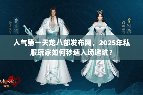 人气第一天龙八部发布网，2025年私服玩家如何秒速入场避坑？
