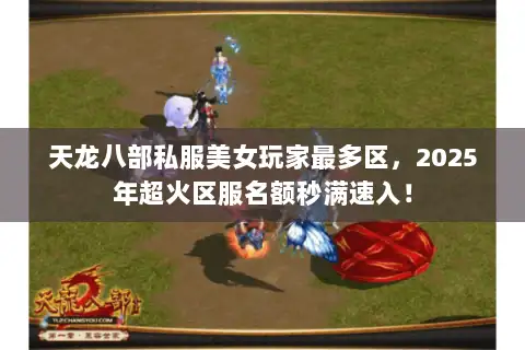天龙八部私服美女玩家最多区，2025年超火区服名额秒满速入！