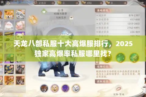 天龙八部私服十大高爆服排行，2025独家高爆率私服哪里找？