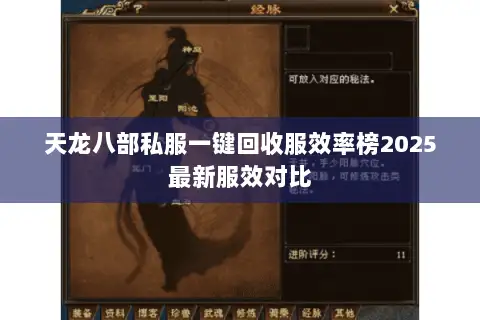天龙八部私服一键回收服效率榜2025最新服效对比