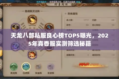 天龙八部私服良心榜TOP5曝光,2025年真香服实测筛选秘籍 天龙八部私服良心榜TOP5曝光,2025年真香服实测筛选秘籍