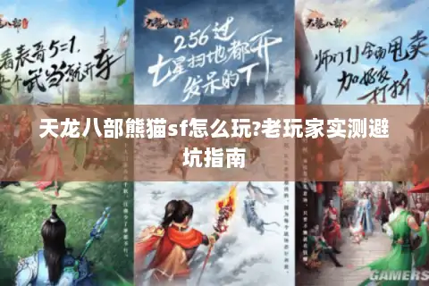 天龙八部熊猫sf怎么玩?老玩家实测避坑指南