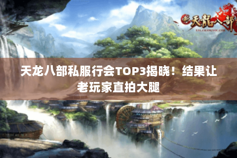 天龙八部私服行会TOP3揭晓!结果让老玩家直拍大腿 天龙八部私服行会TOP3揭晓!结果让老玩家直拍大腿