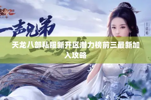 天龙八部私服新开区潜力榜前三最新加入攻略