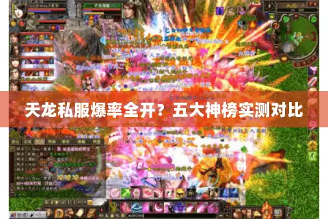 天龙私服爆率全开？五大神榜实测对比