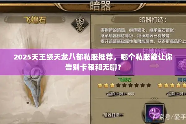 2025天王级天龙八部私服推荐，哪个私服能让你告别卡顿和无聊？