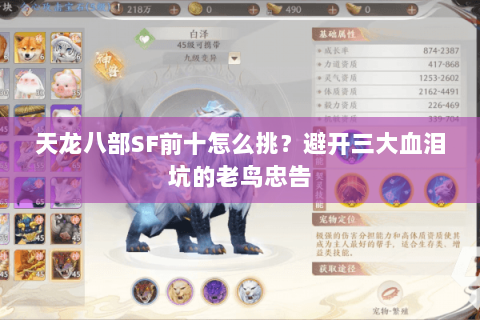 天龙八部SF前十怎么挑？避开三大血泪坑的老鸟忠告