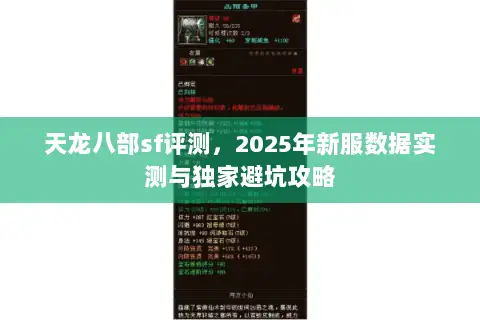 天龙八部sf评测，2025年新服数据实测与独家避坑攻略