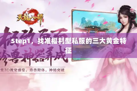 Step1,找准福利型私服的三大黄金特征 Step1,找准福利型私服的三大黄金特征