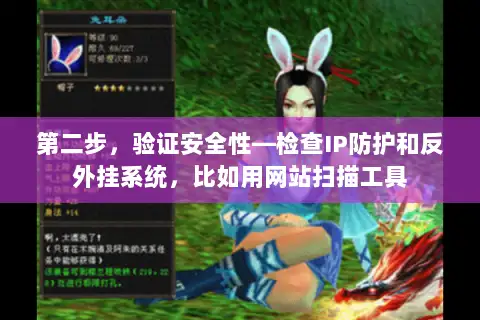 第二步,验证安全性—检查IP防护和反外挂系统,比如用网站扫描工具 第二步,验证安全性—检查IP防护和反外挂系统,比如用网站扫描工具