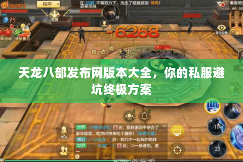天龙八部发布网版本大全，你的私服避坑终极方案