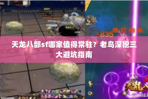 天龙八部sf哪家值得常驻?老鸟深挖三大避坑指南 天龙八部sf哪家值得常驻?老鸟深挖三大避坑指南