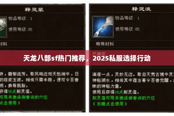 天龙八部sf热门推荐，2025私服选择行动