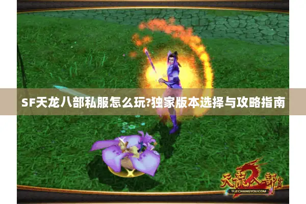 SF天龙八部私服怎么玩?独家版本选择与攻略指南