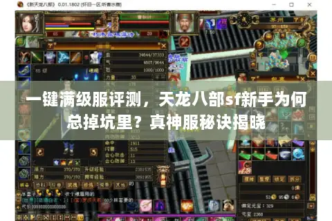 一键满级服评测，天龙八部sf新手为何总掉坑里？真神服秘诀揭晓