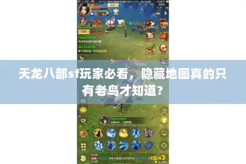 天龙八部sf玩家必看，隐藏地图真的只有老鸟才知道？