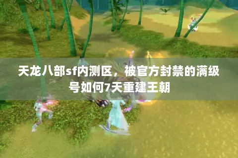 天龙八部sf内测区，被官方封禁的满级号如何7天重建王朝