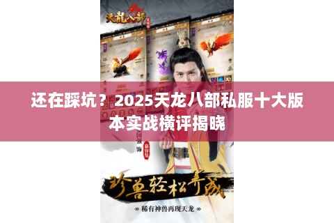 还在踩坑？2025天龙八部私服十大版本实战横评揭晓