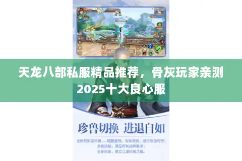 天龙八部私服精品推荐,骨灰玩家亲测2025十大良心服 天龙八部私服精品推荐,骨灰玩家亲测2025十大良心服