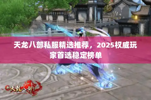 天龙八部私服精选推荐,2025权威玩家首选稳定榜单 天龙八部私服精选推荐,2025权威玩家首选稳定榜单