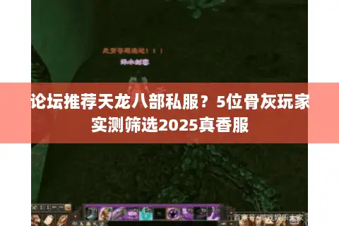 论坛推荐天龙八部私服？5位骨灰玩家实测筛选2025真香服