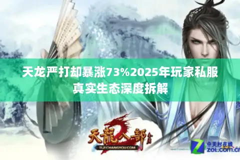天龙严打却暴涨73%2025年玩家私服真实生态深度拆解 天龙严打却暴涨73%2025年玩家私服真实生态深度拆解