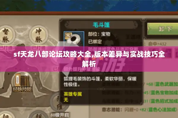 sf天龙八部论坛攻略大全,版本差异与实战技巧全解析
