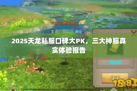 2025天龙私服口碑大PK，三大神服真实体验报告