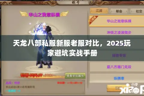 天龙八部私服新服老服对比,2025玩家避坑实战手册 天龙八部私服新服老服对比,2025玩家避坑实战手册