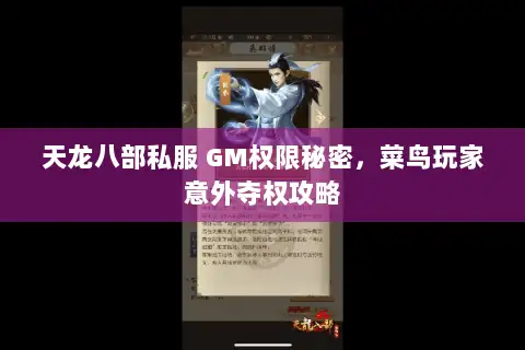 天龙八部私服 GM权限秘密,菜鸟玩家意外夺权攻略 天龙八部私服 GM权限秘密,菜鸟玩家意外夺权攻略