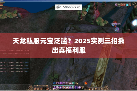 天龙私服元宝泛滥？2025实测三招揪出真福利服
