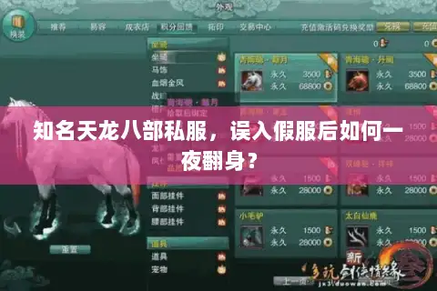 知名天龙八部私服，误入假服后如何一夜翻身？
