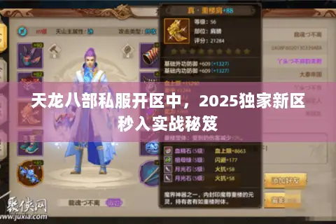 天龙八部私服开区中,2025独家新区秒入实战秘笈 天龙八部私服开区中,2025独家新区秒入实战秘笈